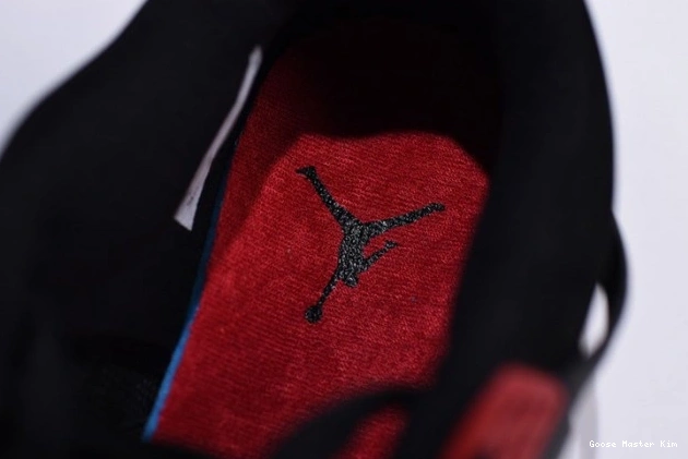 Retro Raptors